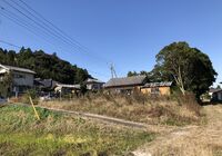 IMG_1364